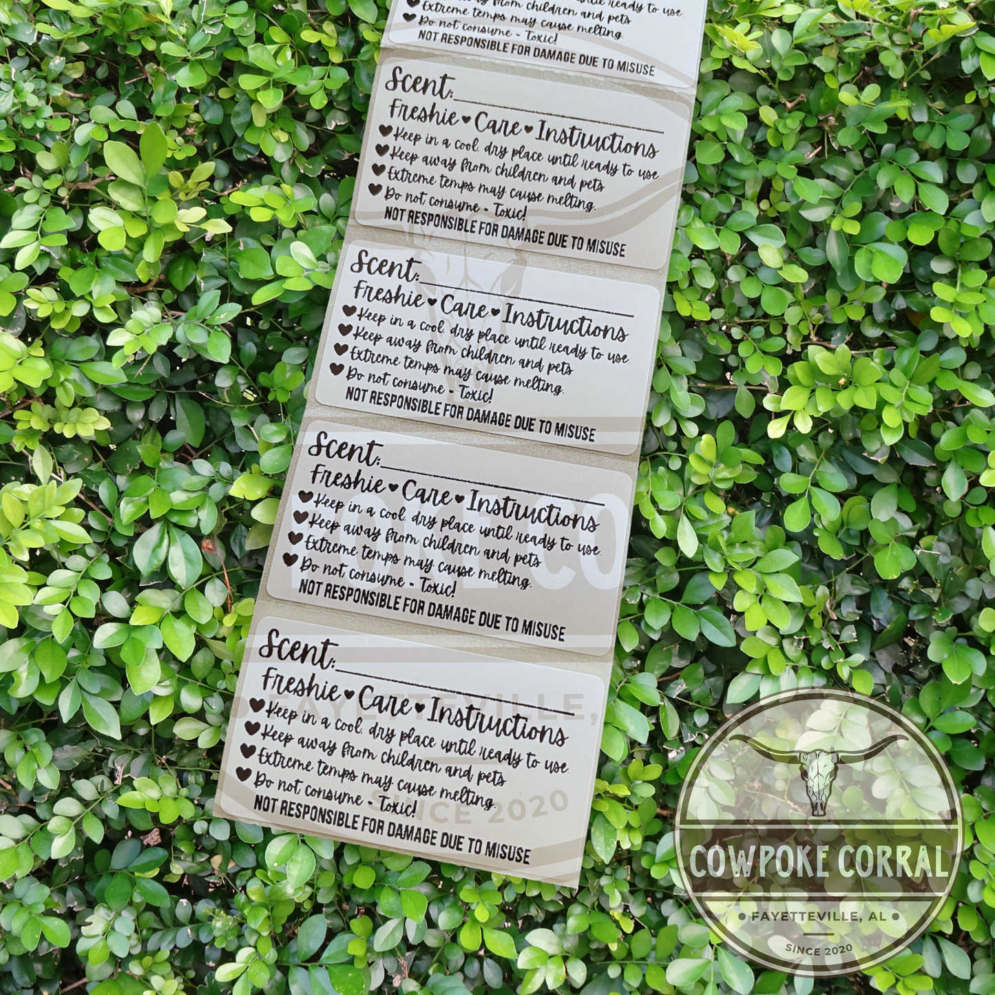 Freshie Scent & Care Instructions - Packaging Stickers