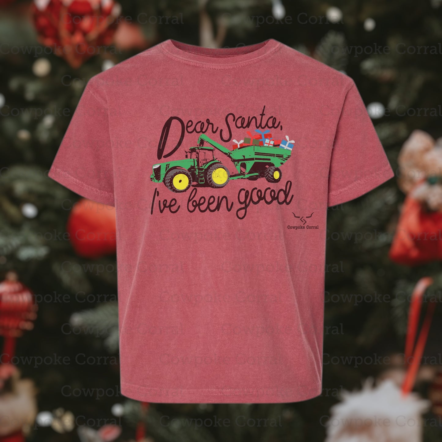 DEAR SANTA, I’VE BEEN GOOD YOUTH TEE
