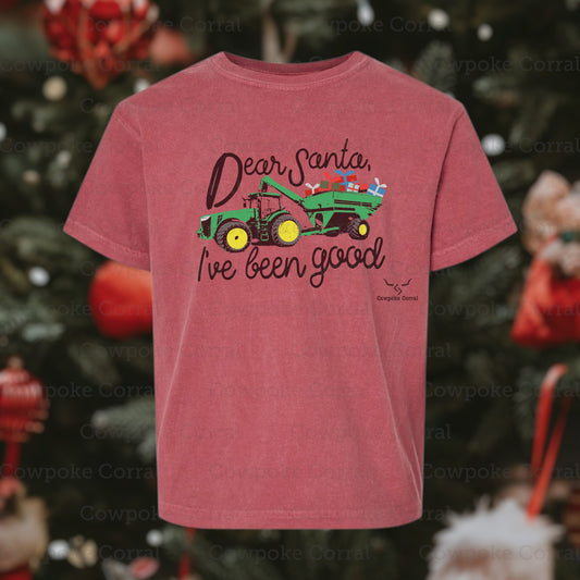 DEAR SANTA, I’VE BEEN GOOD YOUTH TEE